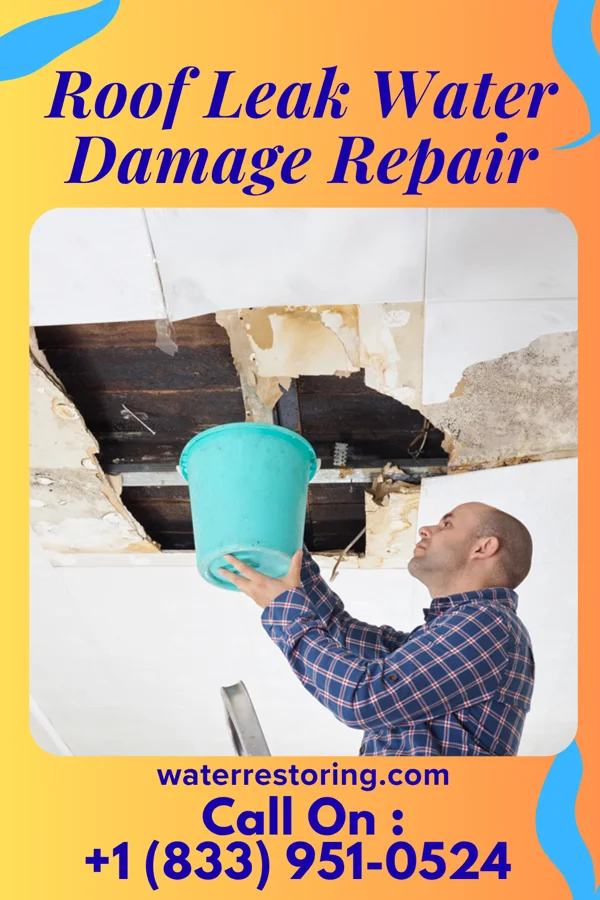 Roof Leak Water Damage Repair in Danbury, CT